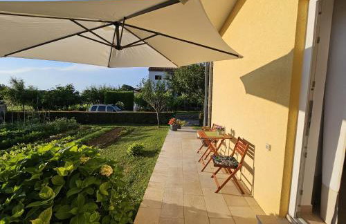 Studio Ivona - Foto 8