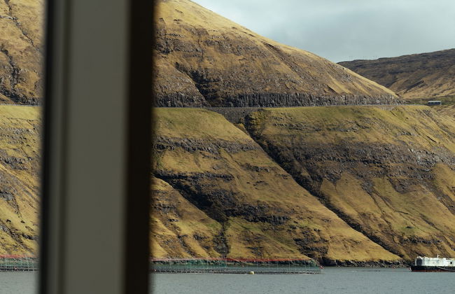 Seaside Nest | Charming Waterfront Retreat - Foto 10