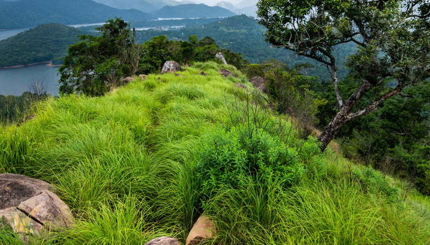 Knuckles Mountain Private Hiking Tour - Foto 4