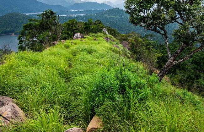 Randonnée privée dans la cordillère Knuckles - Photo 4