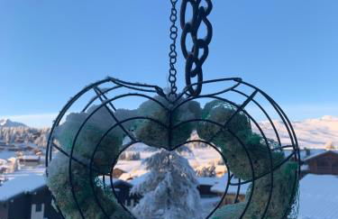 APPARTEMENT PLEIN SUD AUX SAISIES N°6 - Foto 27