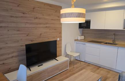 Apartamentos Leyre Candanchú - Photo 5