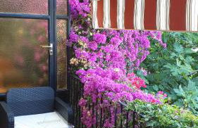 villa Maryvilla Calpe - Photo 21