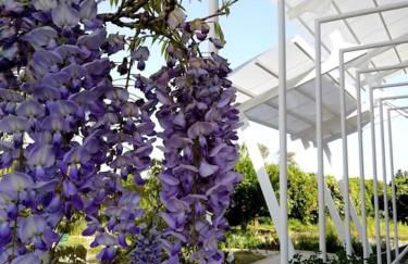 Panoramico, in villa, grande, con ampie terrazze - Foto 14