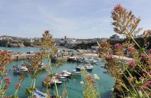 Whitewater Seaview - Foto 34