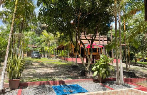 Sitio para COP30 - Foto 17