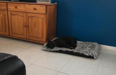 Holiday Home Near Lake and Leisure in Clos du Bannet - Foto 9