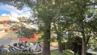 La casa di Teri a Chiavari - Foto 5