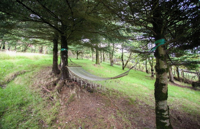 Jotunheim / Aparthotel / Family Friendly - Foto 45