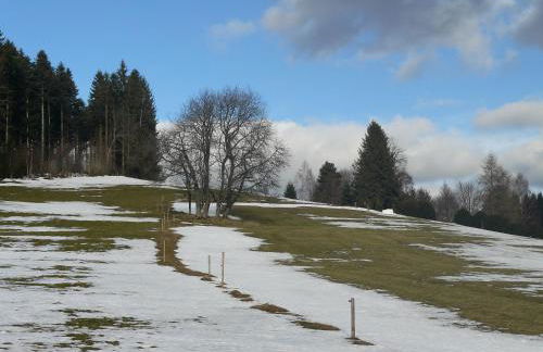 4-Sterne Ferienhaus Rösslewiese Hinterzarten - Foto 30