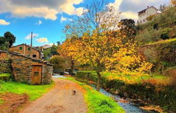 Alojamento Local - Casa Zé Santos - Aldeias do Xisto - Sobral de São Miguel - Covilhã - Foto 20