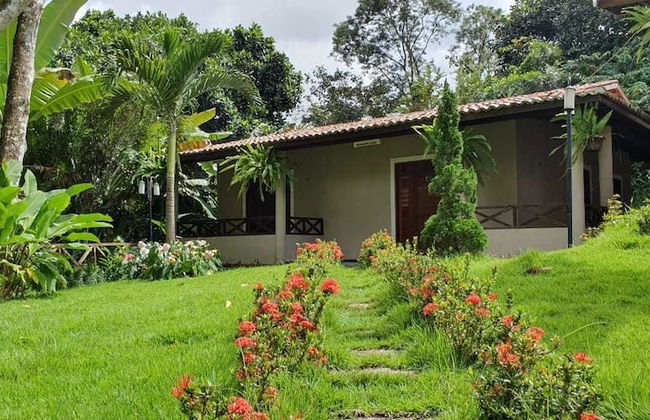 Hotel Cantinho Das Flores - Photo 44