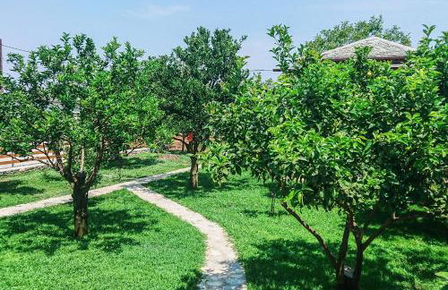 Lemongarden by the sea - Foto 11