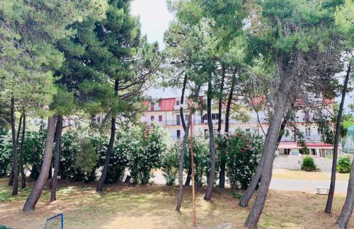 Una pineta sul mare - Riviera dei tramonti - Spiaggia a 300 m - Foto 31