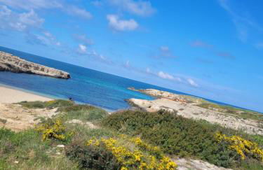 Cala Paradiso - Foto 21