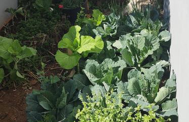 Casa grande com 3 suítes, piscina e área gourmet com churrasqueira - Foto 8