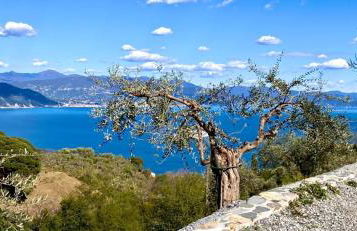 Agriturismo Terre Rosse Portofino - Foto 22