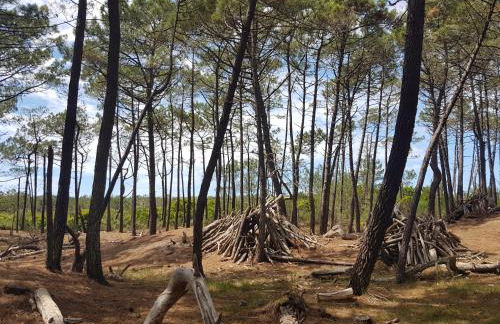 T2, 50m du lac, PISCINE, WIFI, jardin terrasse sans vis-à-vis, 1 à 4 pers - Foto 44