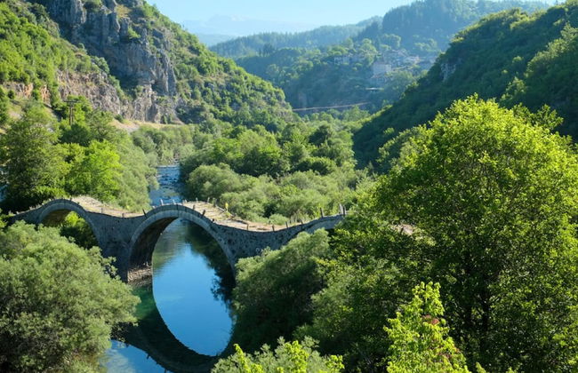 White Orchid Jumellea - Foto 20