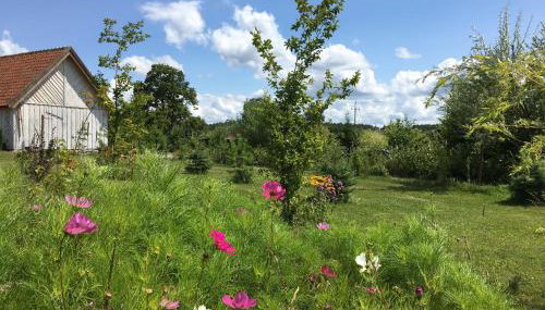 Na zielonej łące... - Foto 5, Garden