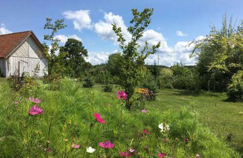 Na zielonej łące... - Foto 5