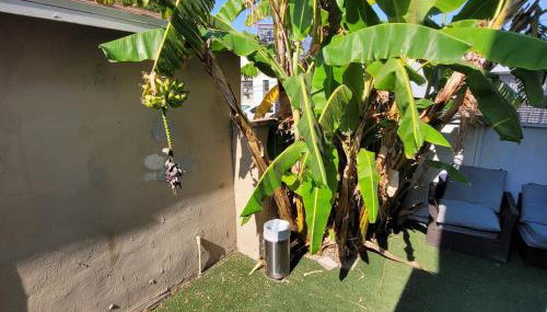 BH Adj, studio spacious BH - Foto 5