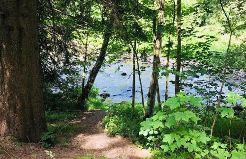 Alpenrose Appartements - Foto 16