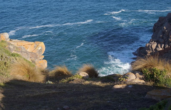 Lindsays of Kangaroo Island - Photo 13