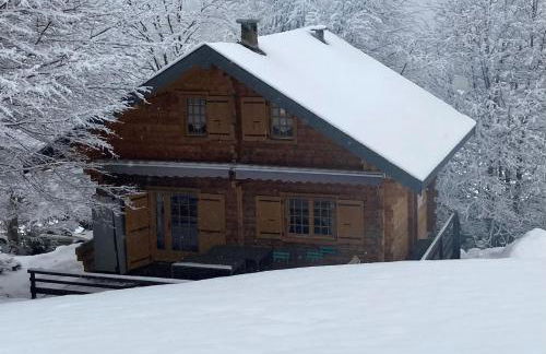 CHALET 6 PERSONNES SUR PISTE - Foto 1