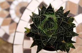 Casa Pierina - Traditional Guest House - Foto 28