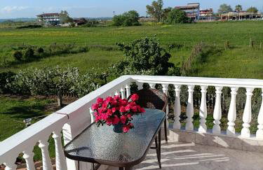 Verginia Studios - Photo 36