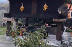 Flor de Pomar - Foto 54