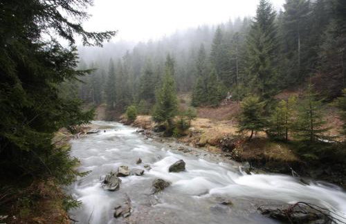 Ośrodek Nad Potokiem - Foto 17