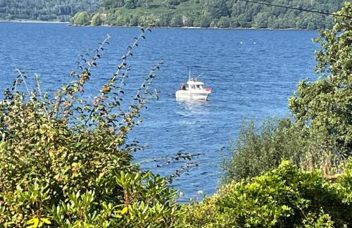 Thistle House Guest House - Foto 46