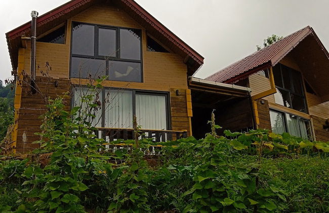 Kamelya Dag Evleri - Foto 24