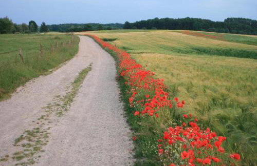 Lavish Apartment in Klütz near Beach - Foto 68