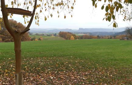 Ferienhaus Papstdorf - Foto 16