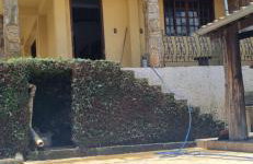 Casa do guerreiro - Foto 6