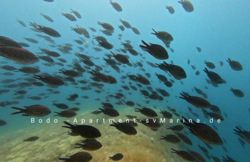 Bodo Apartment - Foto 53