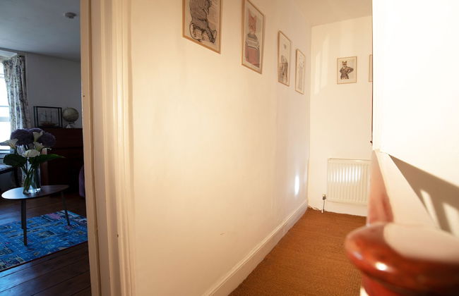 Birch in the Lanes - Foto 28