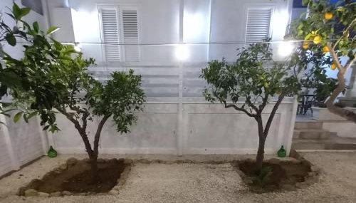 Casa Virgilio - Photo 3