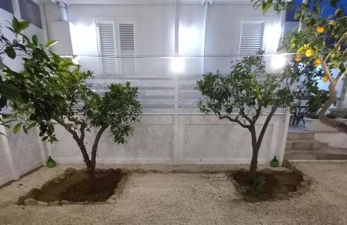 Casa Virgilio - Foto 22