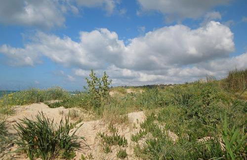 Villa Cipollazzo - Foto 22