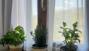 Il portico del Lago - Foto 5