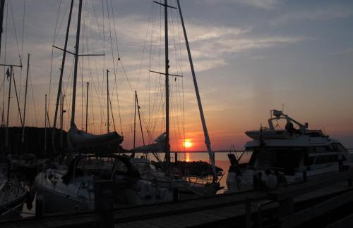 FEWO Muschel - Foto 23