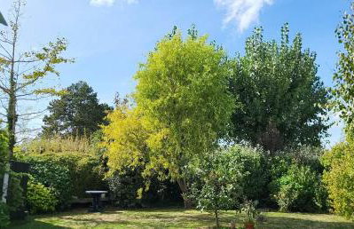 La Maison Rose - avec grand jardin clos à 300m de la mer - Photo 2