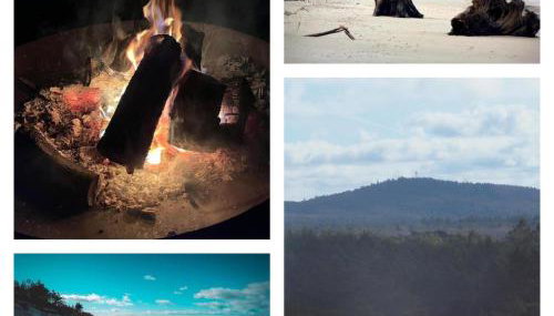 Swojskie Chatki - Leśna Chatka - Foto 5