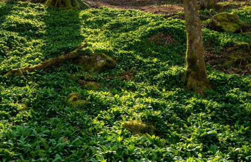 1 Bed in Hawes oc-94120 - Photo 24