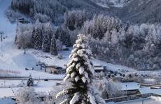 Appartamenti Flora Alpina - Foto 14