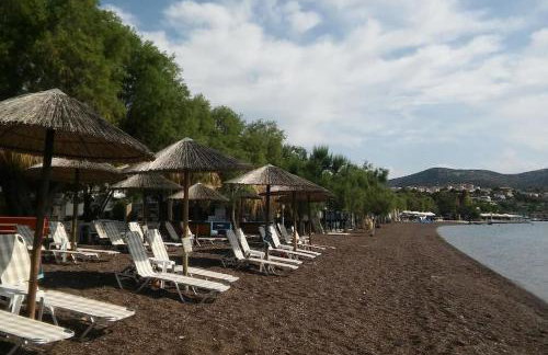 Allure Loft - Foto 33